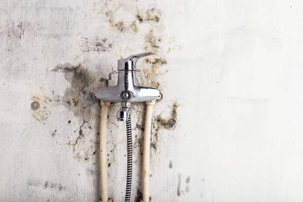Best Mold Testing  in Jennerstown, PA