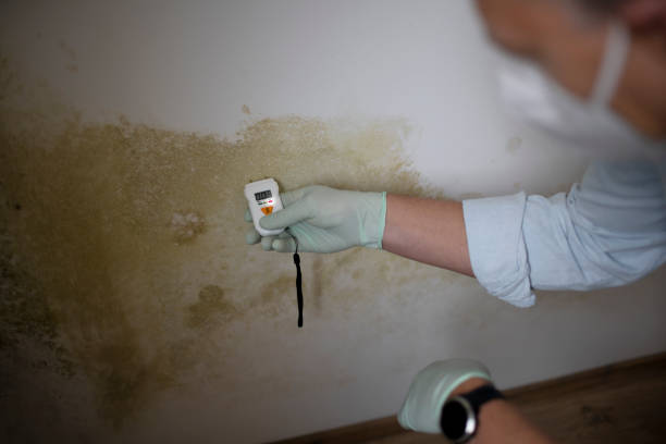 Best Office Mold Removal Services  in Jennerstown, PA