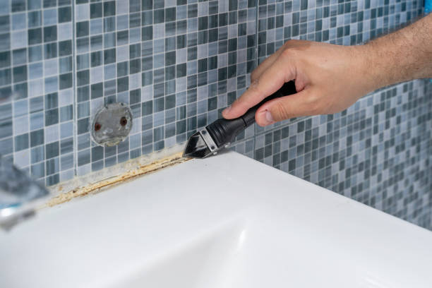 Best Mold Damage Repair  in Jennerstown, PA