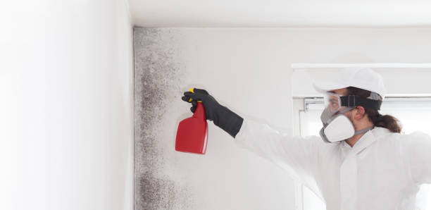 Best Local Mold Removal Service  in Jennerstown, PA